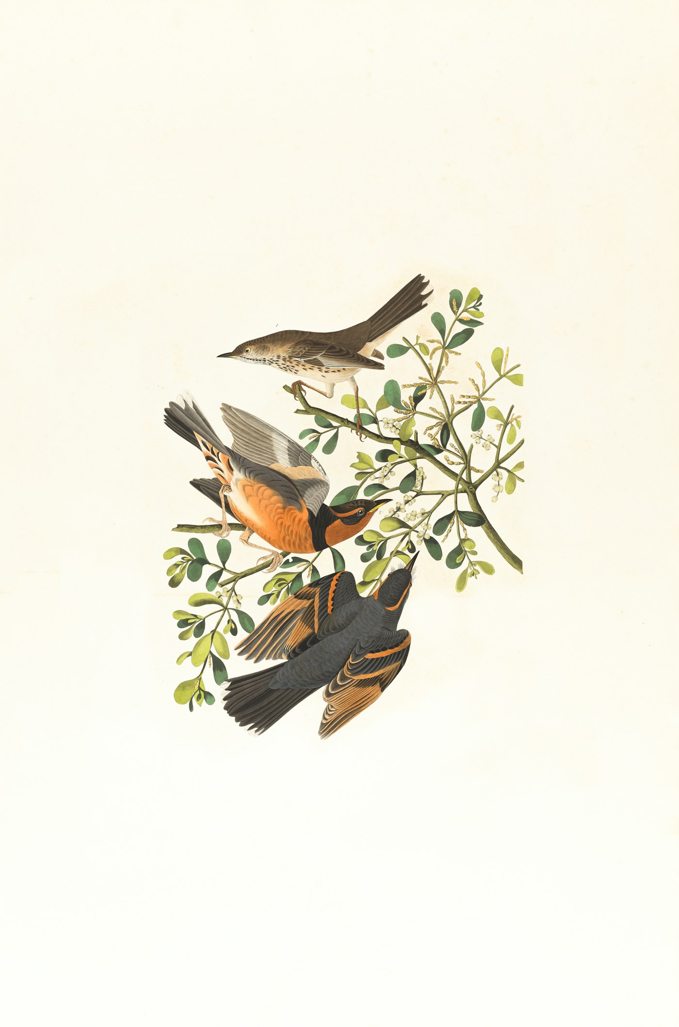 Morning Visitor — sample artwork